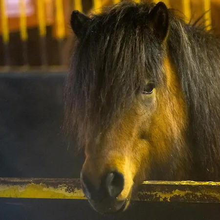 Farm stay Paimentupa