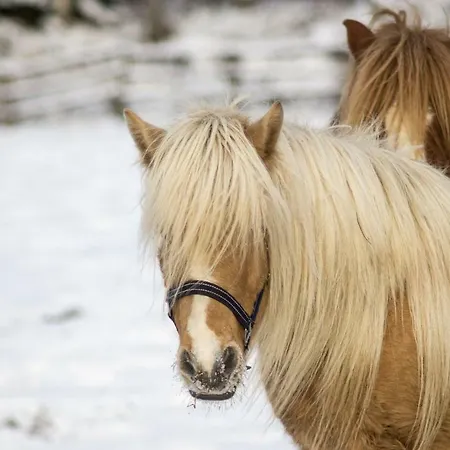 팜스테이 Paimentupa *