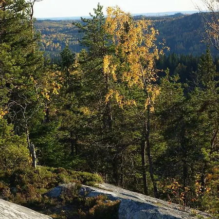 Paimentupa Alloggio per agriturismo