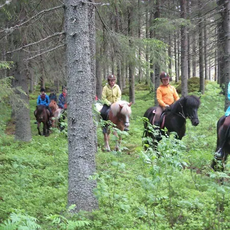 Paimentupa Koli (Lieksa)