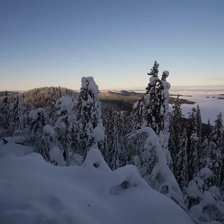 Paimentupa 팜스테이