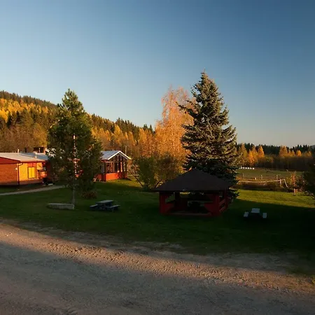 Farm stay Paimentupa Koli (Lieksa)