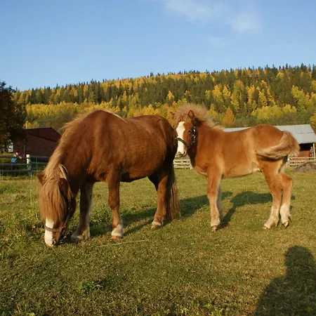 Paimentupa 팜스테이