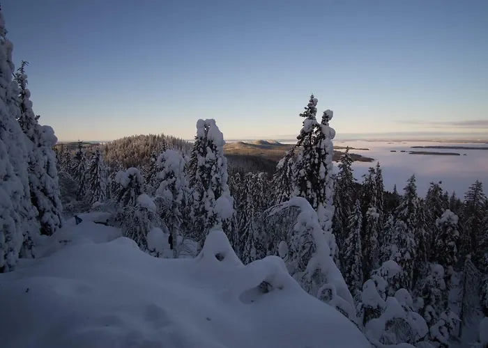 Paimentupa ファームステイ